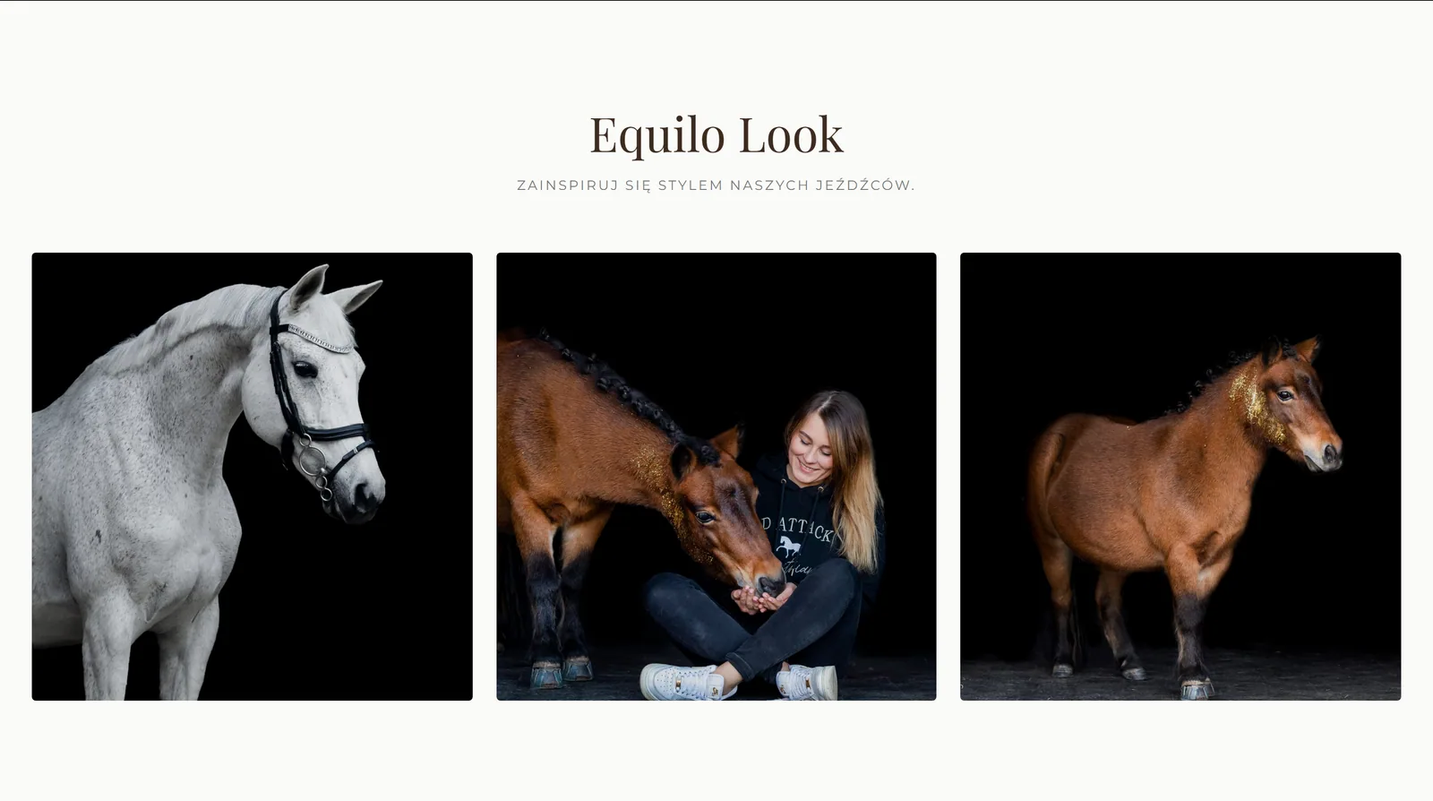 Equilo — zrzut 2